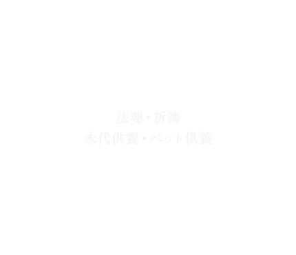 bnrmany03_cover